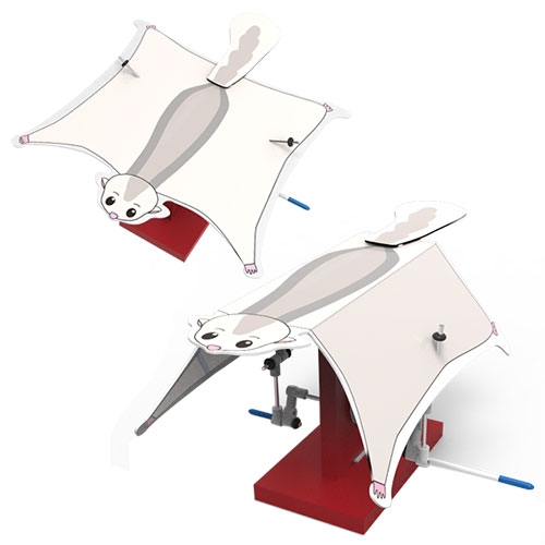 오토마타 2관절 하늘다람쥐(5인용)