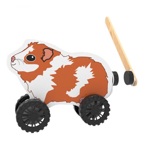 자석으로 가는 기니피그-(10인용)