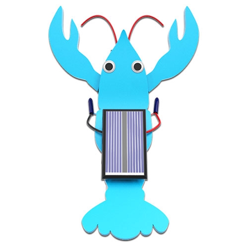 태양광 가재 진동로봇(5인용)