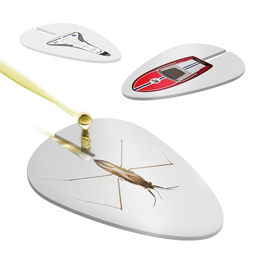 표면장력 소금쟁이보트(우주선 10인용)