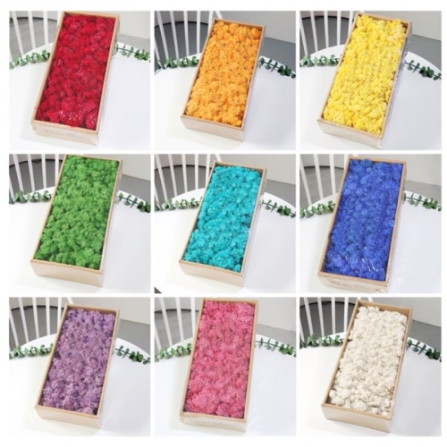 생태완경 꾸미기 인테리어용 대용량 스칸디나비아 모스  천연이끼500그램