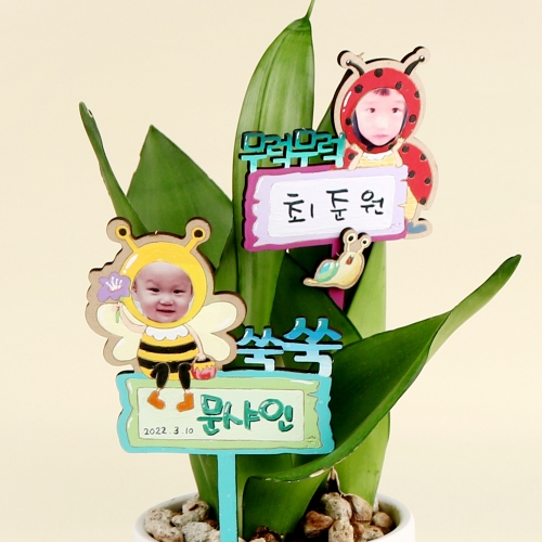 메이크문구 토퍼만들기 식물