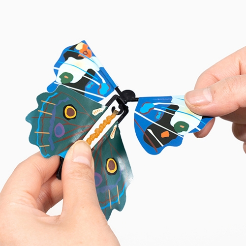 176 요술종이나비