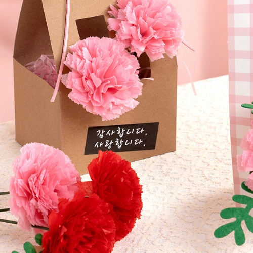 179 카네이션 바구니