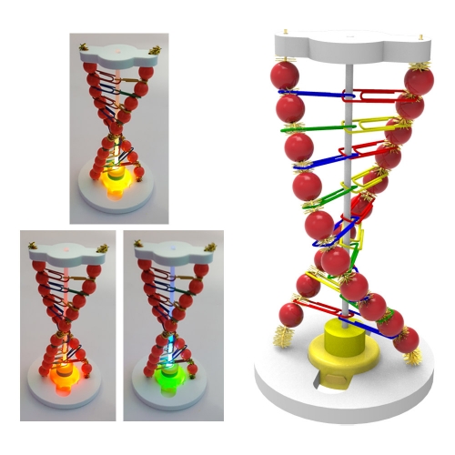  LED DNA 