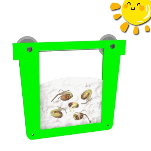 식물 씨앗 발아주머니(큰 씨앗 3종세트) 만들기