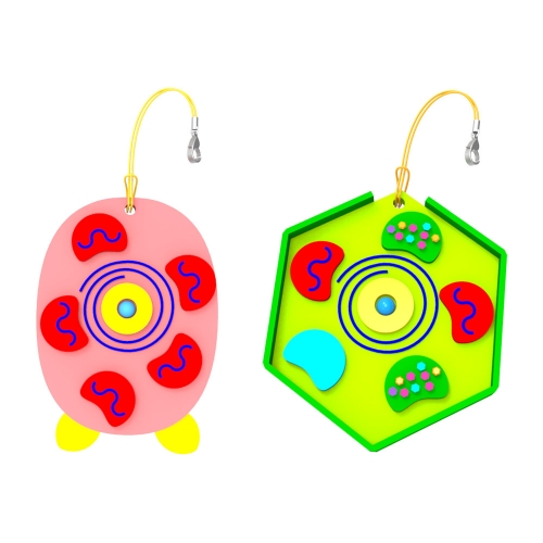 뉴 세포 열쇠고리 만들기(식물+동물 2종 세트)