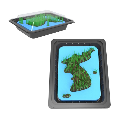 뉴 대한민국 잔디 키우기