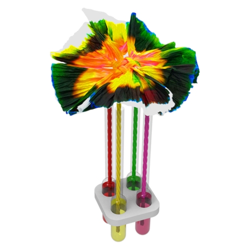 뉴 모세관 현상 색깔 물 꽃 만들기 (2인용)