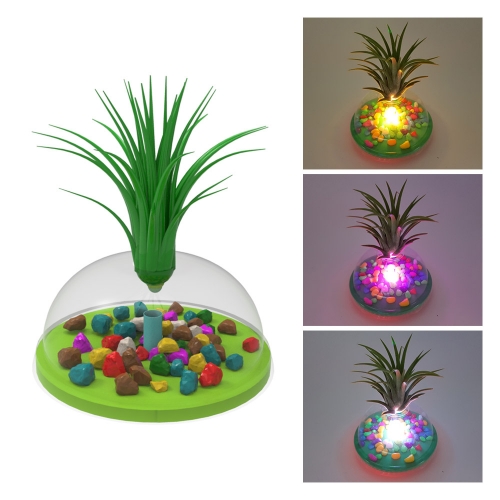 틸란드시아 조명등 만들기