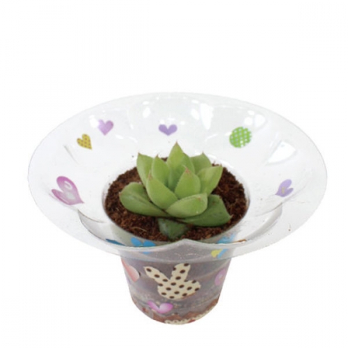 다육이 화분 만들기