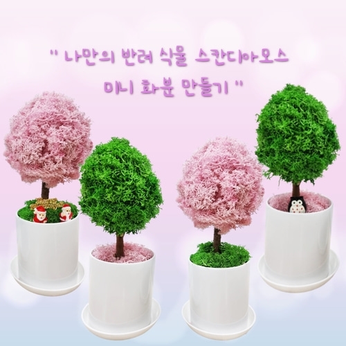 원예활동 만들기 꾸미기 스칸디나비아 모스 트리 미니 화분 만들기set
