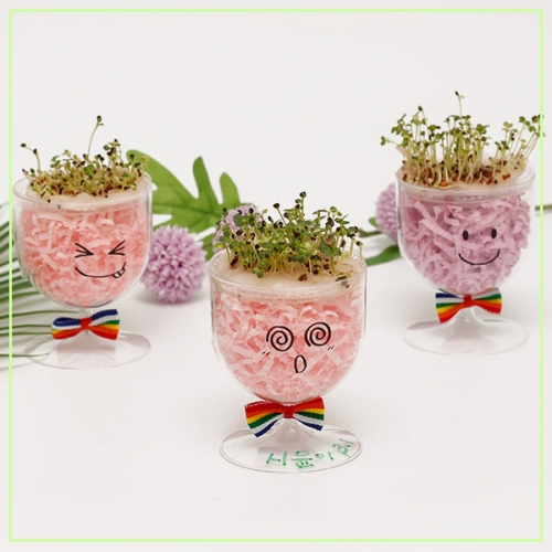 얼굴 표정 컵 새싹 키우기(1개)