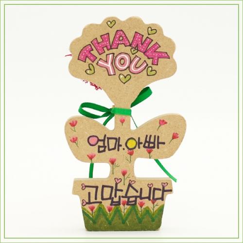 모스 카네이션 화분