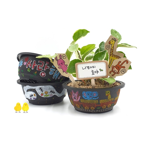 [만꾸] 식목일 블랙화분 꾸미기(5인용)