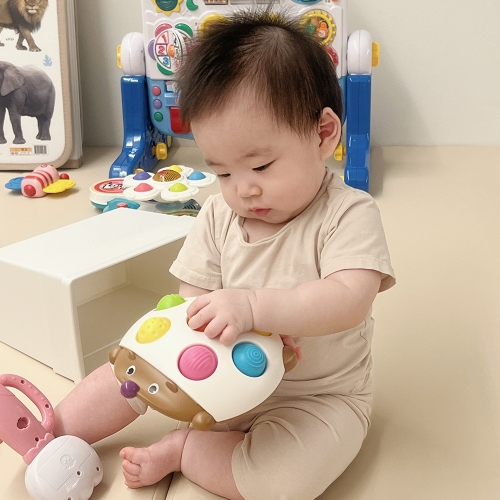 [캐스B]튼튼 푸시팝고슴도치(2268)