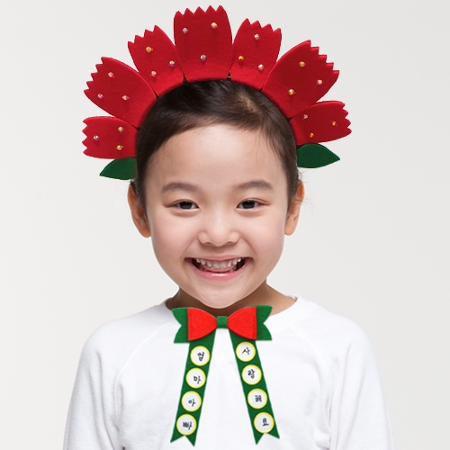 귀여운 카네이션 변신세트