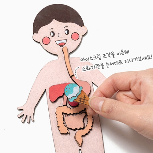 186 재미있는 인체지도