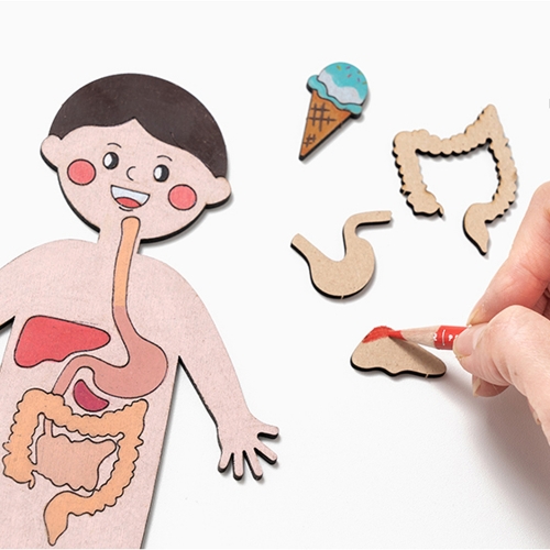 186 재미있는 인체지도