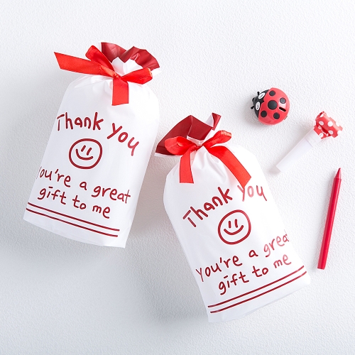 땡큐리본간식주머니 유치원 어린이집 어린이날 선물 생일 답례품 구디백