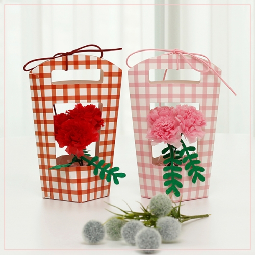 카네이션 캐리어