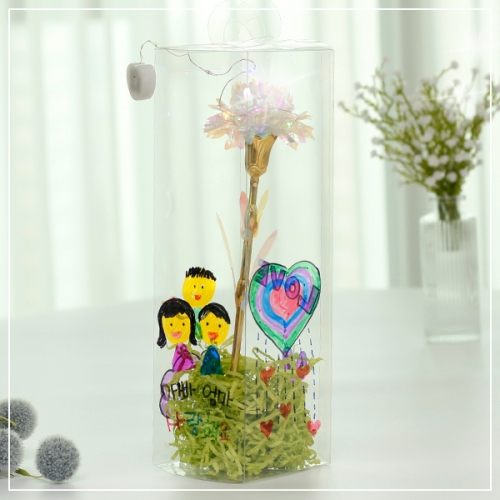 오로라 LED 카네이션