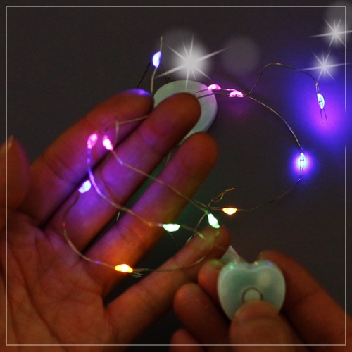 오로라 LED 카네이션