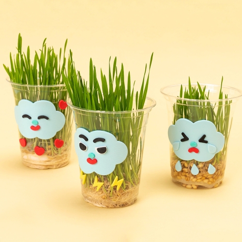 민화샵 어린이 보리싹 키우기 5세트