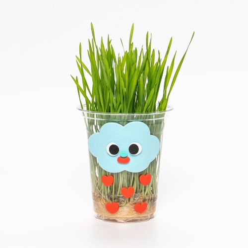 민화샵 어린이 보리싹 키우기 5세트