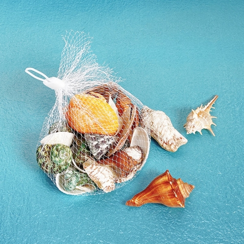 [탑키드] 천연 조개 소라 혼합