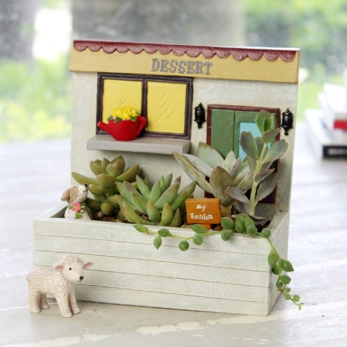 체험 학습용 벽걸이 화분 - 지중해의 거리 4종