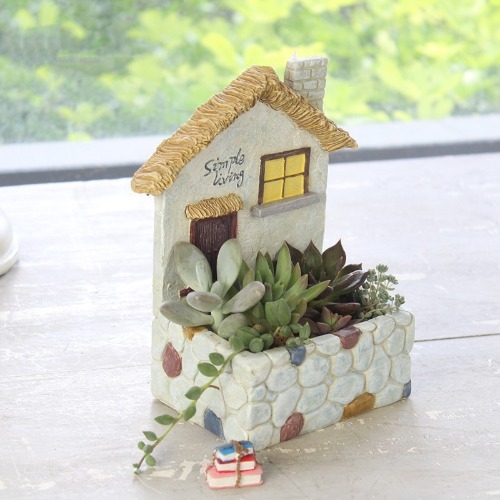 체험 학습용 벽걸이 화분 - 지중해의 거리 4종