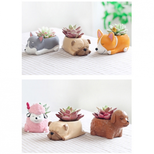 체험학습용 잠자는 강아지 시리즈 8종