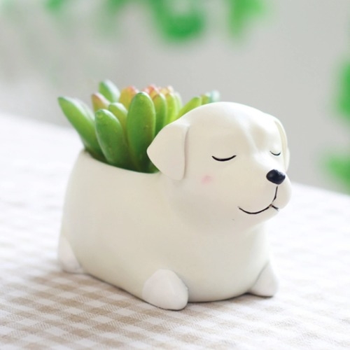 체험학습용 잠자는 강아지 시리즈 8종