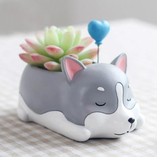 체험학습용 잠자는 강아지 시리즈 8종