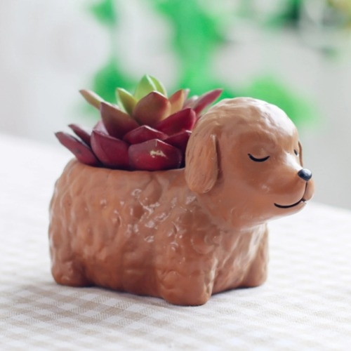 체험학습용 잠자는 강아지 시리즈 8종