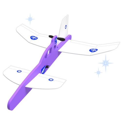 대회용 카나드 전동글라이더 쌩쌩