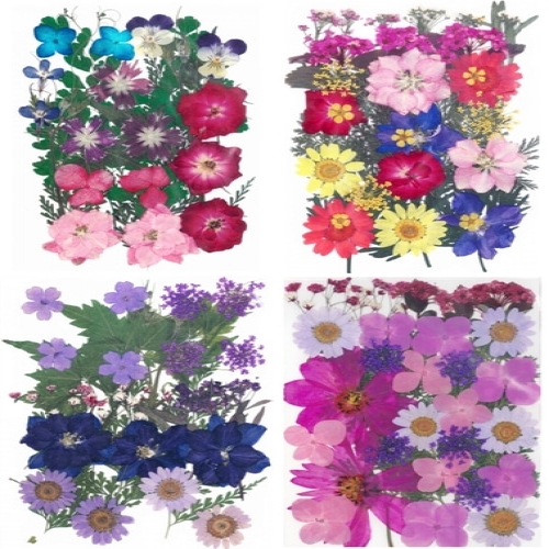 나만의 DIY만들기 레진아트 공예_UV 레진 아트 공예 생화 압화 세트 모음