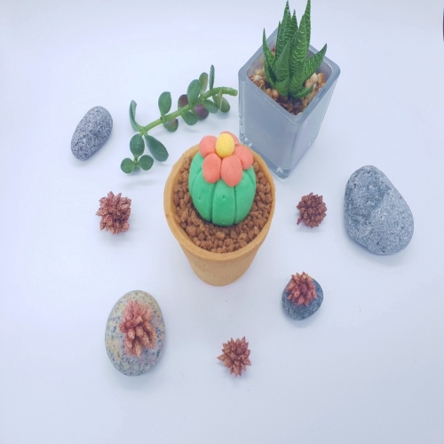 [1인키트] 당근/카네이션/튼튼/동글/봄꽃/딸기/귤/단감/옥수수/병아리/할로윈 (1인)