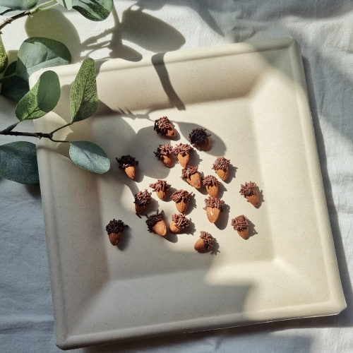 아이솜씨 도토리몬드 만들기 가을 어린이 요리키트