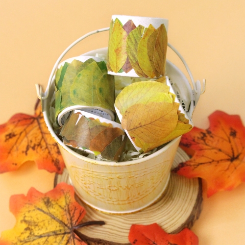 단풍 마스킹 테이프 4종