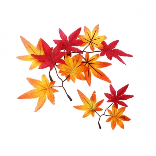 가을 낙엽 시리즈_10종 중 택1