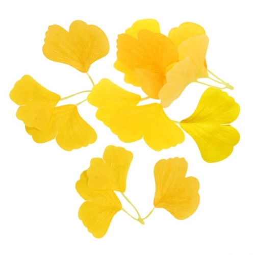 가을 낙엽 시리즈_10종 중 택1