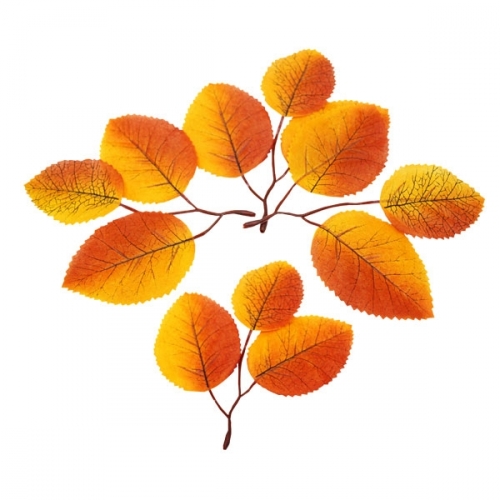 가을 낙엽 시리즈_10종 중 택1