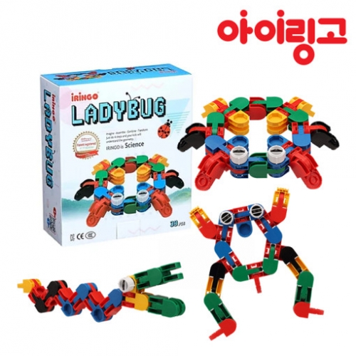 아이링고 무당벌레 블럭 38pcs