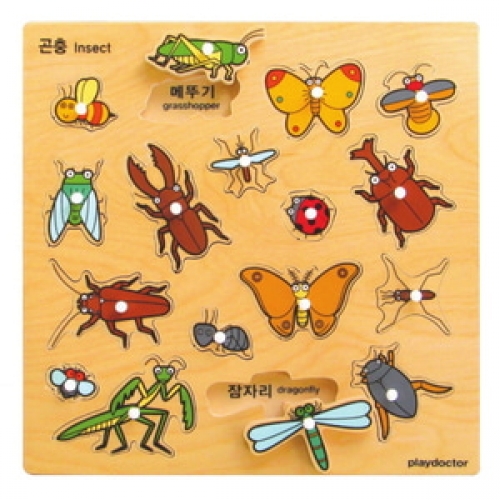 주제별언어퍼즐-곤충