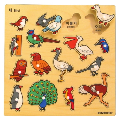 주제별언어퍼즐-새