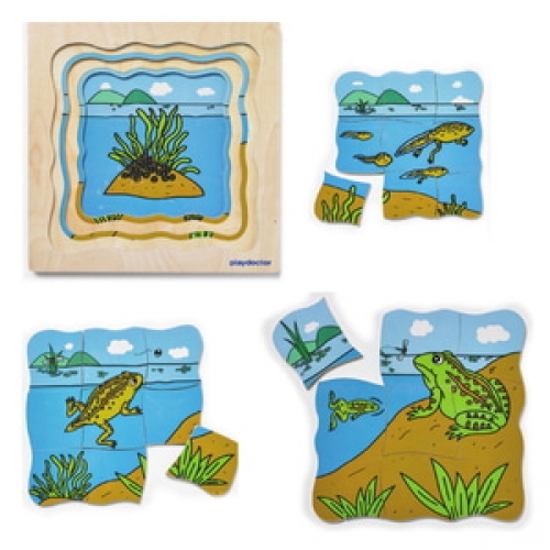 성장겹퍼즐-개구리