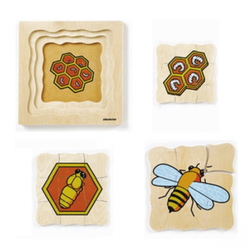 성장겹퍼즐-꿀벌
