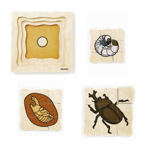 성장겹퍼즐-장수풍뎅이